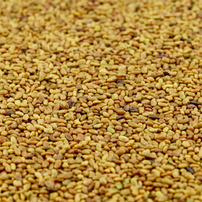 Organic Alfalfa Seeds