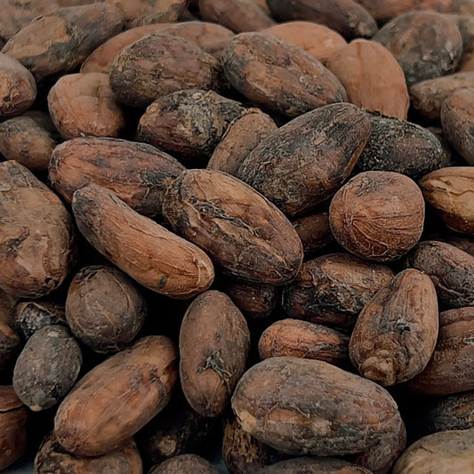 Organic Cacao Bean