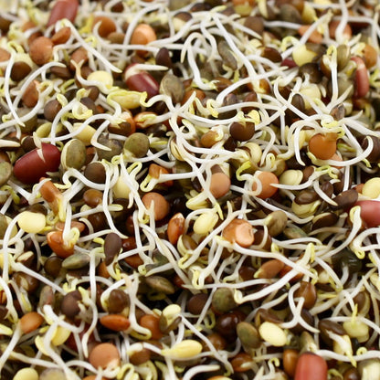 Organic Protein Boost Seeds